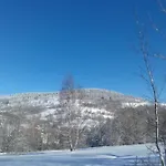 Dziki *