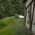 Dziki