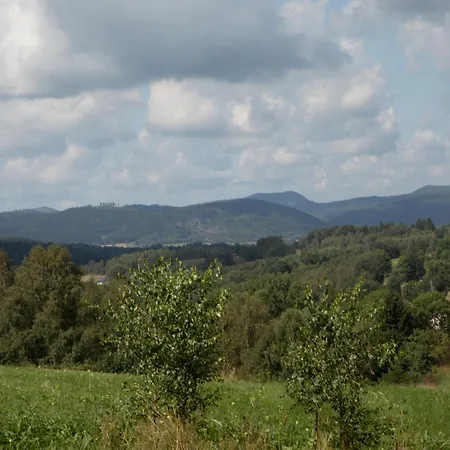 Апартаменты Dziki Sierpnica